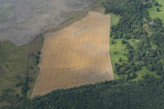 Oblique aerial view of the cropmarks of the enclosures and the remainsof the fish trap, looking WSW.