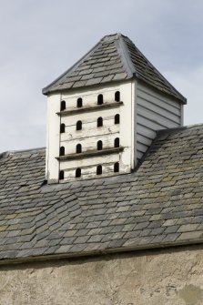 Detail of cupola with flight holes.