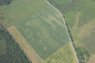 Oblique aerial view of the cropmarks of the enclosures and souterrains, looking NNW.