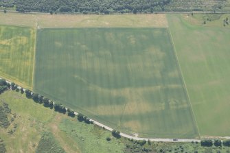 Oblique aerial view of the cropmarks of the enclosures and souterrains, looking SSE.