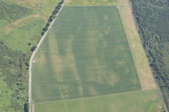 Oblique aerial view of the cropmarks of the enclosures and souterrains, looking ENE.
