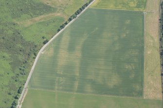 Oblique aerial view of the cropmarks of the enclosures and souterrains, looking NE.