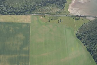 Oblique aerial view of the cropmarks of the enclosures, looking SSE.