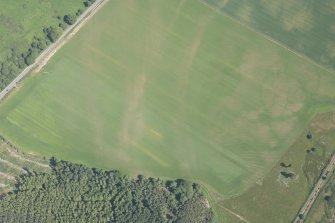 Oblique aerial view of the cropmarks of the enclosures and souterrains, looking NE.
