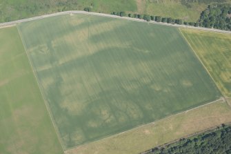 Oblique aerial view of the cropmarks of the enclosures and souterrains, looking N.
