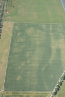 Oblique aerial view of the cropmarks of the enclosures and souterrains, looking SW.