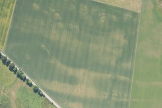 Oblique aerial view of the cropmarks of the enclosures and souterrains, looking SE.