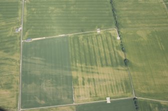 Oblique aerial view of the former site of Kirkton Airfield and the cropmarks of the rig, possible pits and the enclosure, looking NNW.