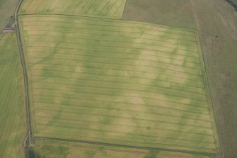 Oblique aerial view of the cropmarks of the settlement enclosure and the possible round house, looking WSW.