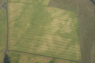 Oblique aerial view of the cropmarks of the settlement enclosure and the possible round house, looking SW.