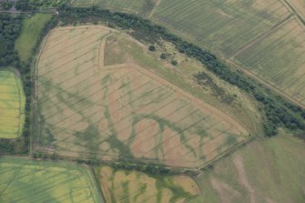 Oblique aerial view of the cropmarks of the forts on Doon Hill, looking NW.