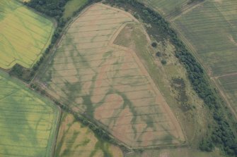 Oblique aerial view of the cropmarks of the forts on Doon Hill, looking WSW.
