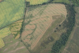 Oblique aerial view of the cropmarks of the forts on Doon Hill, looking SSW.