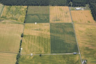 Oblique aerial view of the cropmarks of the enclosures, pits and rig, looking SSE.