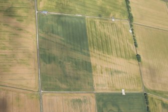 Oblique aerial view of the cropmarks of the enclosures, pits and rig, looking WNW.