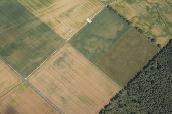 Oblique aerial view of the cropmarks of the enclosures, pits and rig, looking NNE.