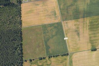 Oblique aerial view of the cropmarks of the enclosure, pits and rig, looking WSW.