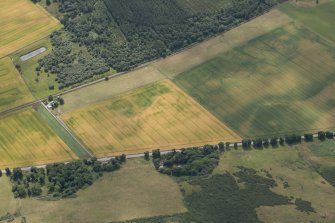 Oblique aerial view of the cropmarks of the structures, enclosures and rig, looking S.
