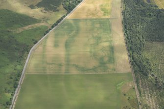 Oblique aerial view of the cropmarks of the structures, enclosures and rig, looking NE.