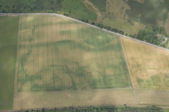 Oblique aerial view of the cropmarks of the structures, enclosures and rig, looking NNW.