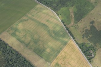 Oblique aerial view of the cropmarks of the structures, enclosures and rig, looking WNW.