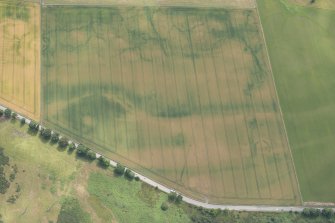 Oblique aerial view of the cropmarks of the structures, enclosures and rig, looking SSE.