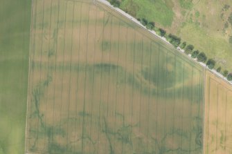 Oblique aerial view of the cropmarks of the structures, enclosures and rig, looking S.