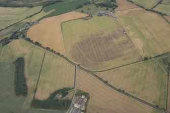 Oblique aerial view of the cropmarks of the cursus, barrows, enclosure, ring ditches and rig, looking E.