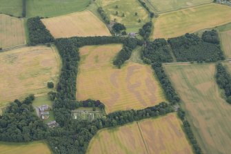 Oblique aerial view of the cropmarks of the enclosures, pits and rig, looking E.