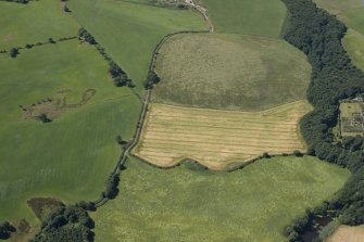 Oblique aerial view of the cropmarks of the settlement, looking WSW.