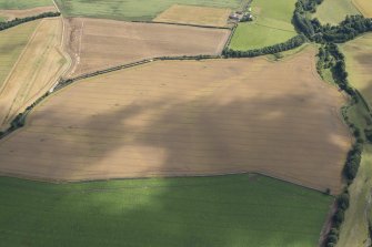 Oblique aerial view of the cropmarks of the rectilinear settlement and the fort, looking NE.
