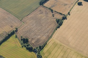 Oblique aerial view of the cropmarks of the rectilinear settlement, looking ESE.