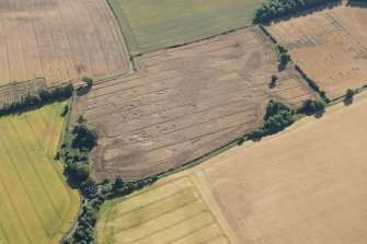 Oblique aerial view of the cropmarks of the rectilinear settlement, looking E.