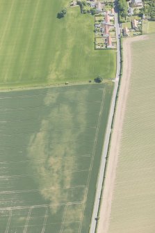 Oblique aerial view of cropmarks of the possible buildings and road, looking E.