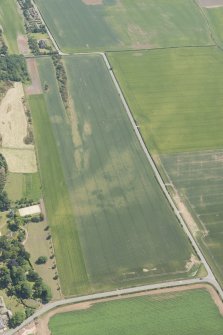 Oblique aerial view of the cropmarks of the settlements, unenclosed houses and pit alignment at Congalton, looking E.