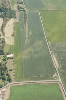 Oblique aerial view of the cropmarks of the settlements, unenclosed houses and pit alignment at Congalton, looking E.