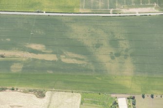 Oblique aerial view of the cropmarks of the unenclosed houses and ring ditch, looking S.