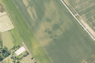 Oblique aerial view of the cropmarks of the unenclosed houses and ring ditch, looking SSE.