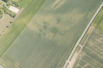 Oblique aerial view of the cropmarks of the unenclosed houses and ring ditch, looking NE.