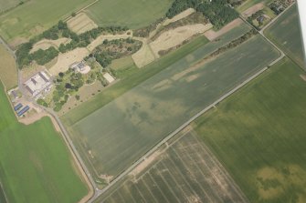 Oblique aerial view of the cropmarks of the settlements, pit alignment and unenclosed houses at Congalton, looking NE.