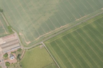 Oblique aerial view of the cropmarks of the trackway, quarries and linear ditches, and adajcent farm buildings at Wester Broomhouse, looking N.