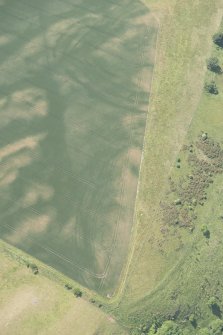Oblique aerial view of the cropmarks of the forts on Doon Hill, looking SW.