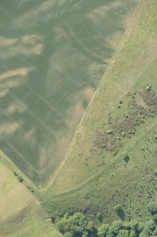 Oblique aerial view of the cropmarks of the forts on Doon Hill, looking SSW.