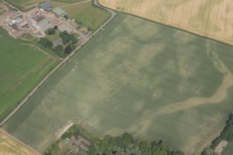 Oblique aerial view of the cropmarks of the cursus, enclosure and linear features at Preston Mains, looking NE.