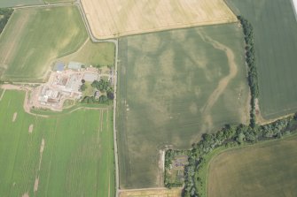 Oblique aerial view of the cropmarks of the cursus and other features at Preston Mains, looking E.