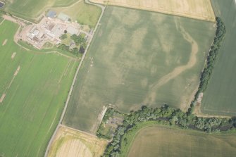 Oblique aerial view of the cropmarks of the cursus and other features at Preston Mains, looking NE.