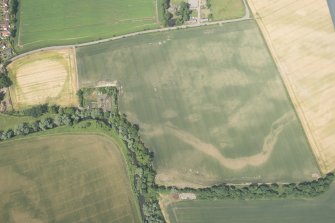 Oblique aerial view of the cropmarks of the cursus and other features at Preston Mains, looking N.