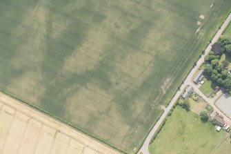 Oblique aerial view of the cropmarks of the cursus and other features at Preston Mains, looking SW.