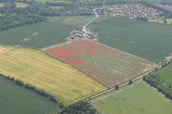 General oblique aerial view of poppy field close to Easter Pentcaitland, looking SW.