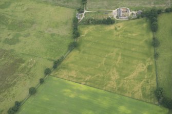 Oblique aerial view of the cropmarks of the pits and possible round house at Moniack Castle, looking NE.